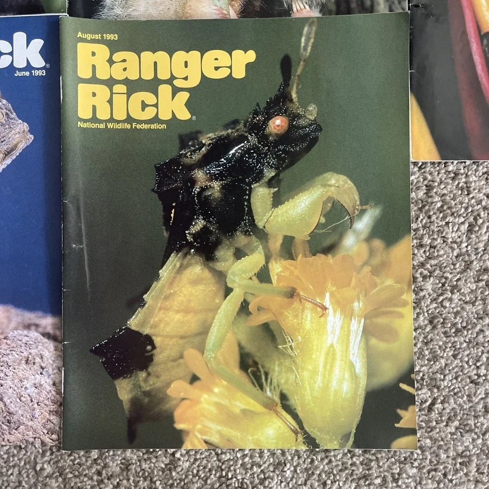 Ranger Rick's Nature‎ Magazine 1993-1994 National Wildlife Kids Vtg Lot Of 11
